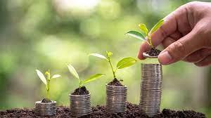 Bisnis Berkelanjutan, Tren Baru yang Bikin Usaha Makin Laku di 2025